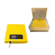 wepik-export-20240119032457bP0g (1)